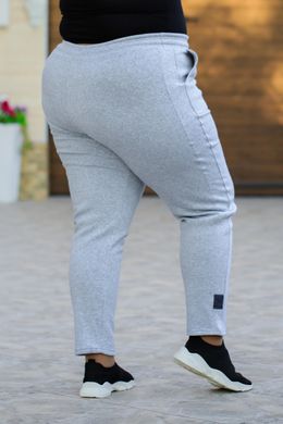 Спортивные штаны женские на флисе БАТАЛ (Арт. KL378/B/Gray)