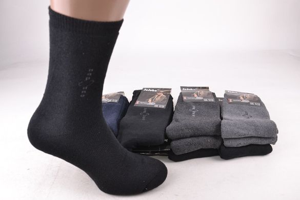 Шкарпетки чоловічі "JuJube" Махра бавовна (Арт. F123-6) | 12 пар