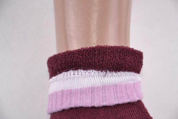 Жіночі шкарпетки "Житомир" МАХРА бавовна (AK825) | 12 пар