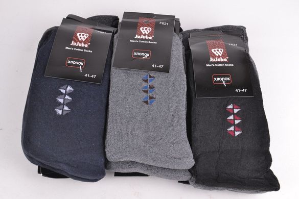 Чоловічі шкарпетки "ХЛОПОК" Махра (Арт. F621-10) | 12 пар