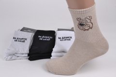 Чоловічі шкарпетки з написом COTTON (Арт. PT1591/1) | 12 пар