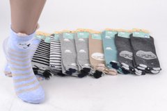 Детские носки на девочку "Фенна" ХЛОПОК (FEC010/30-33) | 10 пар