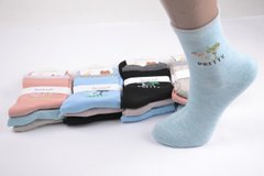 Жіночі шкарпетки "Золото" ХЛОПОК (Арт. C584-4) | 12 пар