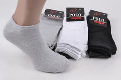 Мужские заниженные носки "Polo" Cotton (Арт. Y516) | 12 пар