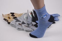 Дитячі шкарпетки Бавовна "КОРОНА" (Арт. LKC3120/31-36) | 12 пар