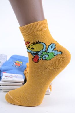 Дитячі шкарпетки "ЖИТОМИР" ХЛОПОК (Арт. AK504/14-16) | 12 пар