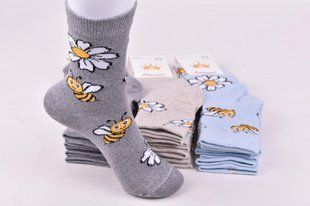 Жіночі шкарпетки "ЖИТОМИР" COTTON (AK2019) | 12 пар