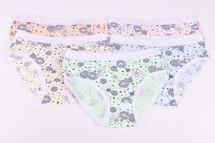 Труси дитячі на дівчинку COTTON (Арт. SLT25/L) | 10 шт.