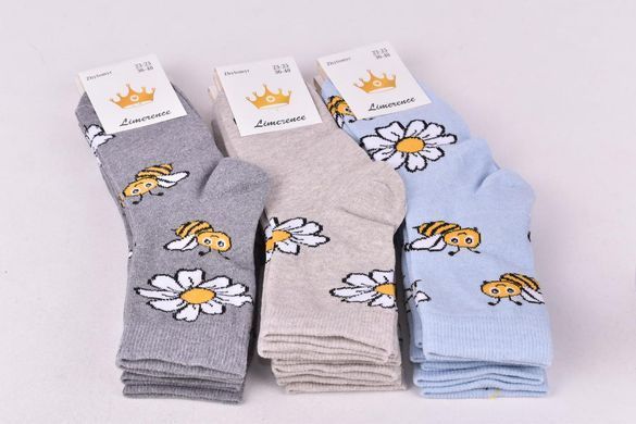 Жіночі шкарпетки "ЖИТОМИР" COTTON (AK2019) | 12 пар