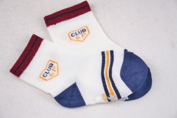 Дитячі шкарпетки на хлопчика "Фенна" ХЛОПОК (FEC005/6-12) | 12 пар