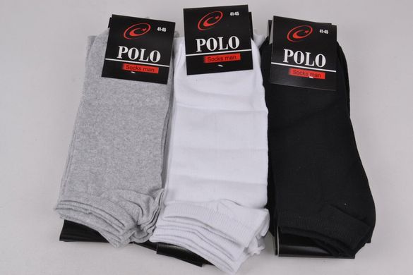 Чоловічі занижені шкарпетки "Polo" Cotton (Арт. Y516) | 12 пар