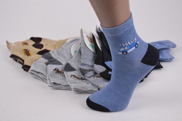 Дитячі шкарпетки Бавовна "КОРОНА" (Арт. LKC3120/31-36) | 12 пар
