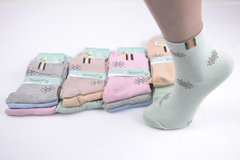Жіночі шкарпетки "Золото" ХЛОПОК (Арт. C553-4) | 12 пар