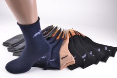 Шкарпетки чоловічі "Верблюжа Вовна" (Арт. A9821) | 12 пар
