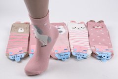 Жіночі шкарпетки "Мордочки" Cotton (SL1642/6) | 10 пар