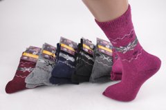 Жіночі Термо-шкарпетки ШЕРСТЬ АНГОРА (Арт. FEB2201-6) | 12 пар
