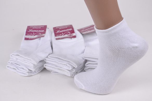 Жіночі шкарпетки "Житомир" ХЛОПОК (Арт. OK083/2) | 12 пар