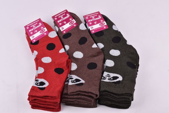 Шкарпетки жіночі "Житомир" бавовна (Aрт. OK107/1) | 12 пар