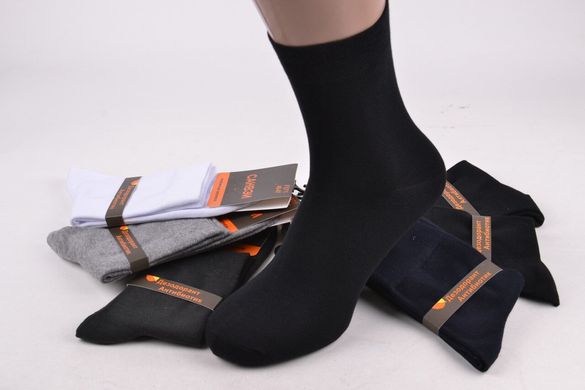 Чоловічі Антибактеріальні шкарпетки "PREMIUM" (Арт. F571-3) | 6 пар