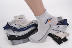 Дитячі шкарпетки на хлопчика Золото (D385/23-26) | 12 пар