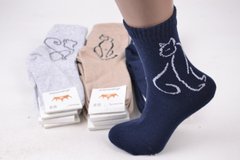 Шкарпетки жіночі "ЖИТОМИР" COTTON (Арт. AK876) | 12 пар