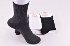 Шкарпетки жіночі "Житомир" COTTON (Арт.LCS141) | 12 пар