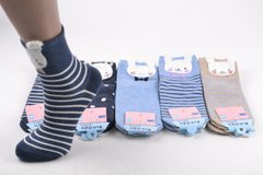 Жіночі шкарпетки "Мордочки" Cotton (SL1642/5) | 10 пар