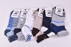 Шкарпетки дитячі на хлопчика "Фенна" бавовна (Арт. FEC3369-3/5-7) | 12 пар