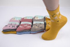 Жіночі шкарпетки "Золото" ХЛОПОК (Арт. C553-1) | 12 пар