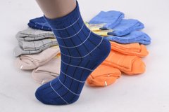 Шкарпетки дитячі Бавовняні (Арт. PTC210/3-5) | 10 пар