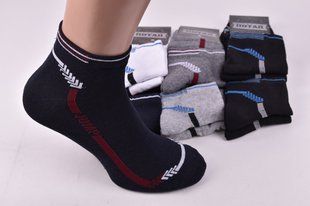 Шкарпетки чоловічі COTTON (Арт. PT527) | 12 пар