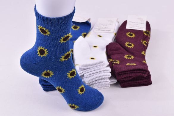 Шкарпетки жіночі з малюнком "Житомир" бавовна (Арт. OAM375/1) | 12 пар