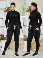 Спортивные штаны женские на флисе (Арт. KL373/N/Black)