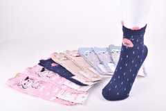 Шкарпетки жіночі "Алія" ХЛОПОК (Арт. ALB228+1) | 10 пар