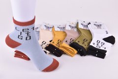 Шкарпетки дитячі "Фенна" ХЛОПОК (Арт. FEZC3361-2/20-25) | 12 пар