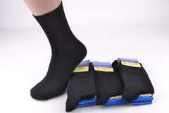 Мужские носки "Житомир" 100% COTTON (Арт. PT001/7) | 12 пар