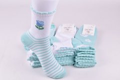 Шкарпетки жіночі "Житомир" ХЛОПОК (Арт. OAM264) | 12 пар