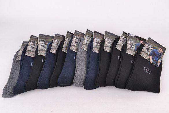 Шкарпетки чоловічі "JuJube" ХЛОПОК (F503-11) | 12 пар