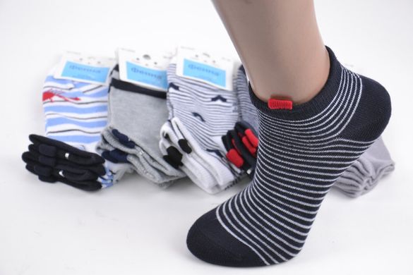 Дитячі шкарпетки занижені "Фенна" ХЛОПОК (FEC5025/30-35) | 12 пар
