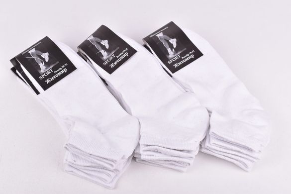 Шкарпетки чоловічі "Житомир" Sport Сітка (Арт. OK079) | 12 пар