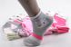 Дитячі шкарпетки на дівчинку "ХЛОПОК" (C283/S) | 12 пар