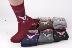 Шкарпетки жіночі ШЕРСТЬ-АНГОРА (Арт. TKB7210-1) | 12 пар