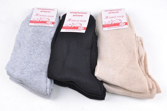 Жіночі шкарпетки "Житомир" Житомир (Арт. OK083/25) | 12 пар