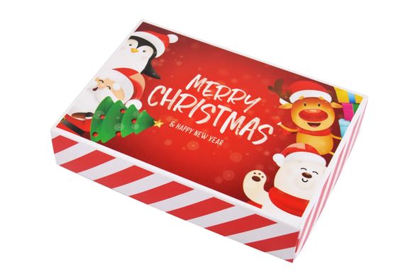 Шкарпетки чоловічі "Merry Christmas" у подарунковій упаковці МАХРА (Арт. Y104/3) | 1 компл.