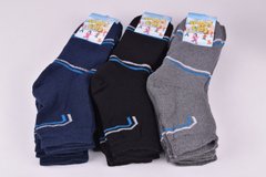 Шкарпетки дитячі на хлопчика бавовна МАХРА (Арт. OAM526/20-22) | 12 пар
