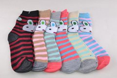 Дитячі шкарпетки Зайка р.23-26 (D3101/23-26) | 12 пар