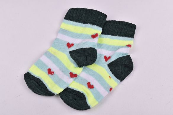 Шкарпетки дитячі на дівчинку "Житомир" бавовна (Арт. OAM440/10-12) | 12 пар