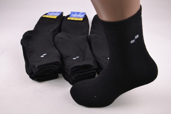 Шкарпетки Чоловічі МАХРА "COTTON" (OAM207/29-31) | 12 пар