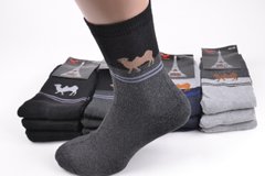 Чоловічі шкарпетки Бавовна МАХРА (Арт.TKA827) | 12 пар