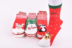 Шкарпетки дитячі Merry Christmas "AURA" COTTON (Арт. SGP7821) | 30 пар